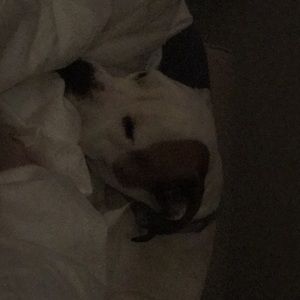 Meet your Posher, Lance